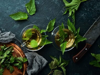 Nettle Tea health benefits