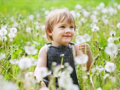 dandelion meadow benefits