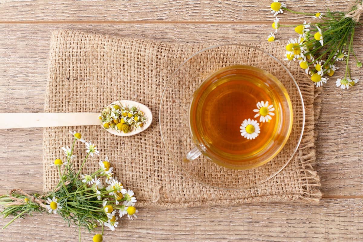 the-history-of-chamomile-tea-and-its-health-benefits-balkan-teas-a