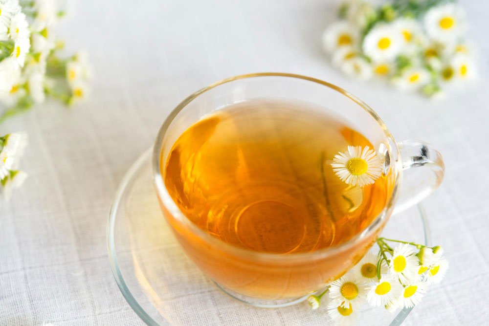 herbal tea with chamomile flowers