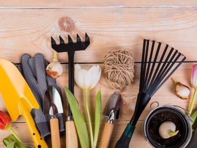 Tips For Properly Caring For Your Gardening Equipment