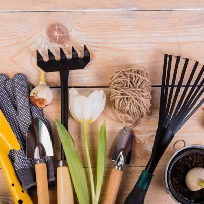 Tips For Properly Caring For Your Gardening Equipment