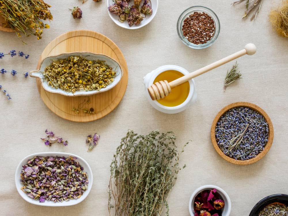 popular Bulgarian medicinal spices herbs